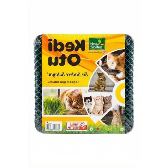 Sindirim Rahatlatıcı Kedi Çimi