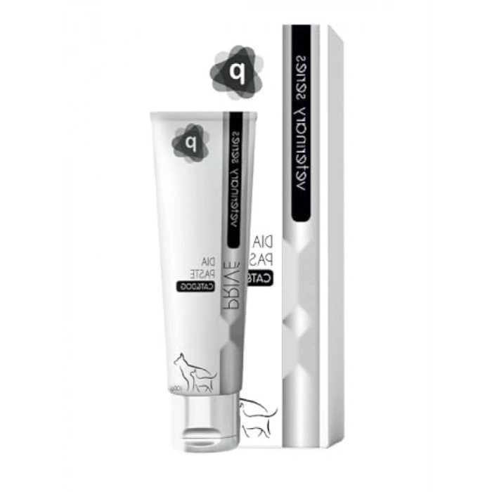 Sindirim Sistemi Desteği İçin Pasta, 100 Gr