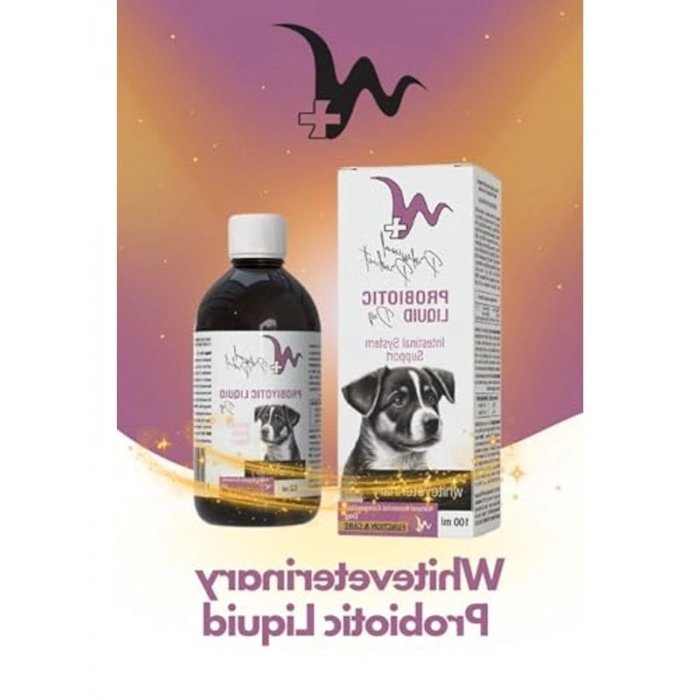 Sindirim Sistemi Destekleyici Probiyotik, 100 ml