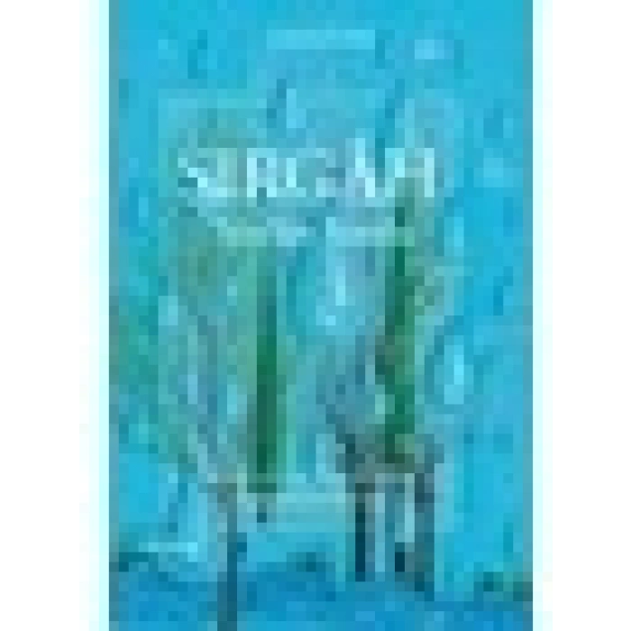 Sırgah: Sözün Yurdu
