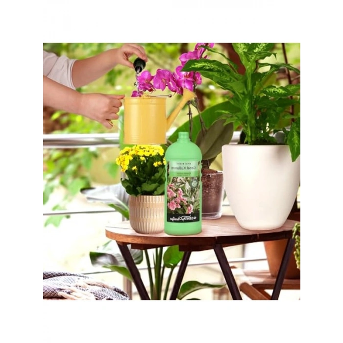 Sıvı Bitki Besini, 1000 ml, Genel Kullanım İçin Uygun