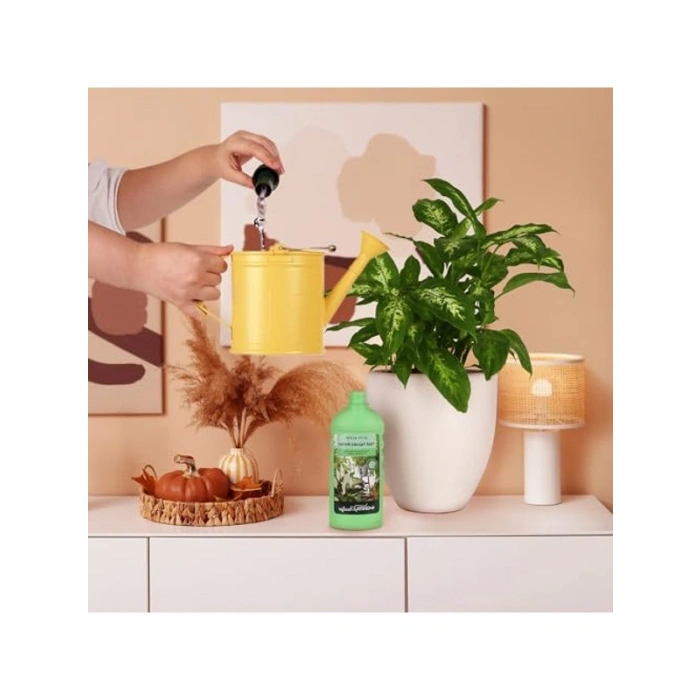 Sıvı Bitki Besini, 500 ml, yeşil yapraklı bitkiler için özel formül