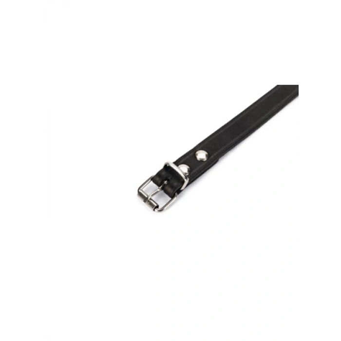 Siyah Deri Evcil Hayvan Boyun Tasması | 57 cm x 20 mm