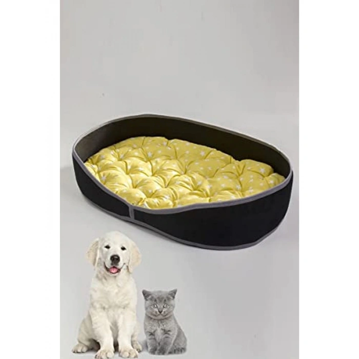 Siyah Kedi ve Köpek Yatağı, Evcil Hayvan Yuvası