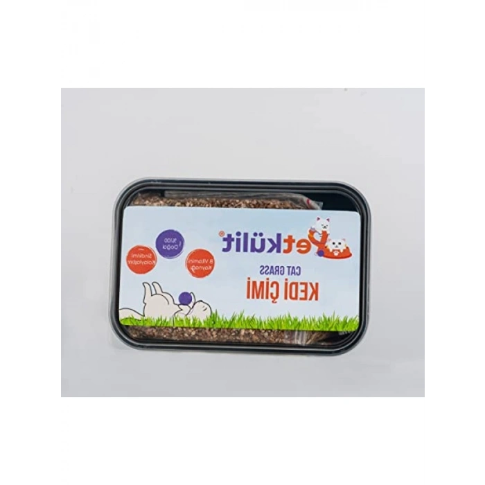 Siyah Petkülit Kedi Çimi