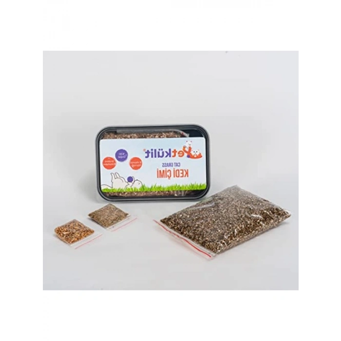 Siyah Petkülit Kedi Çimi