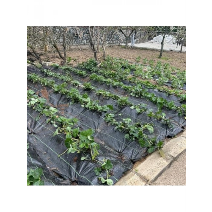 Siyah Renk Jüt Taban Yabani Ot Engelleme Örtüsü - 0,5 M x 1 M