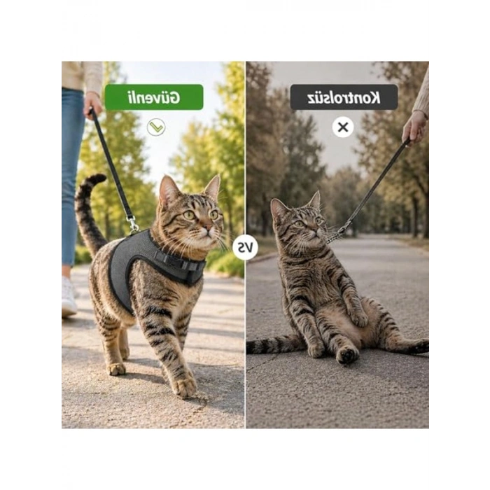 Siyah Renkli Nefes Alabilen Kedi Göğüs Tasma - 3lü Set