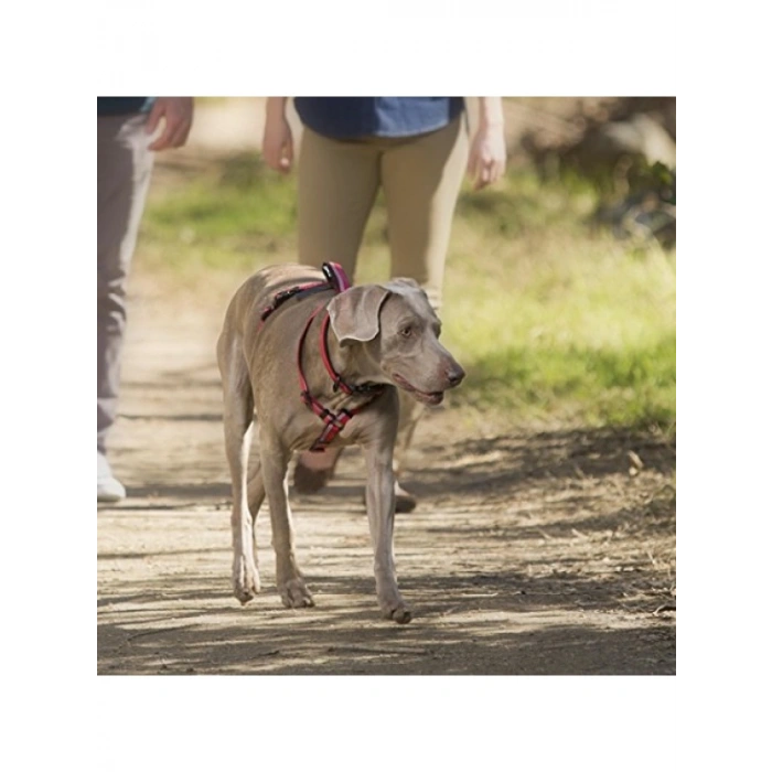 Siyah Yürüyüş Göğüs Tasması, XS Boy