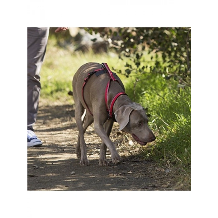 Siyah Yürüyüş Göğüs Tasması, XS Boy