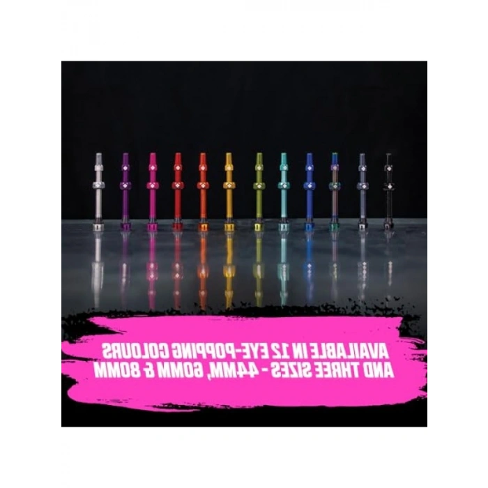 Sızıntı Yapmayan Tübeless Presta Valf Seti