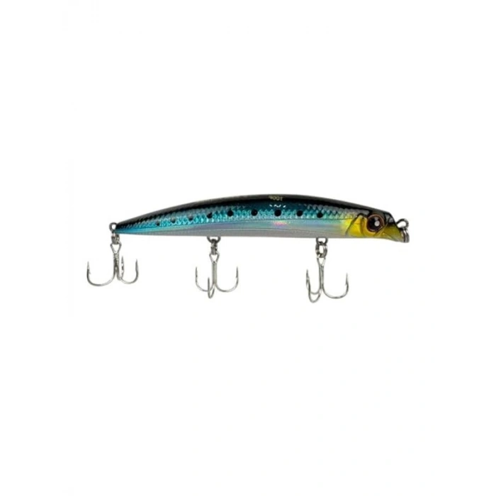 Slim Yapılı Sardine, 100 mm Uzunluğunda 9.5 gr Ağırlığında