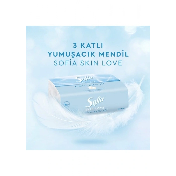 Sofia skin Love Mendil 100LÜ x 12 Paket