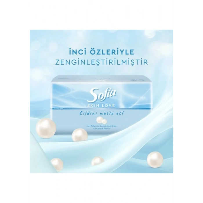 Sofia skin Love Mendil 100LÜ x 12 Paket