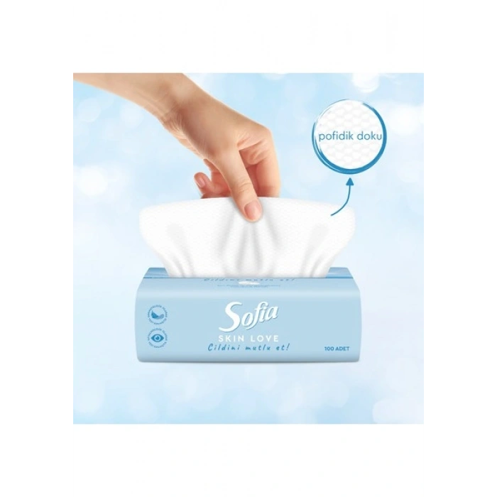 Sofia skin Love Mendil 100LÜ x 12 Paket
