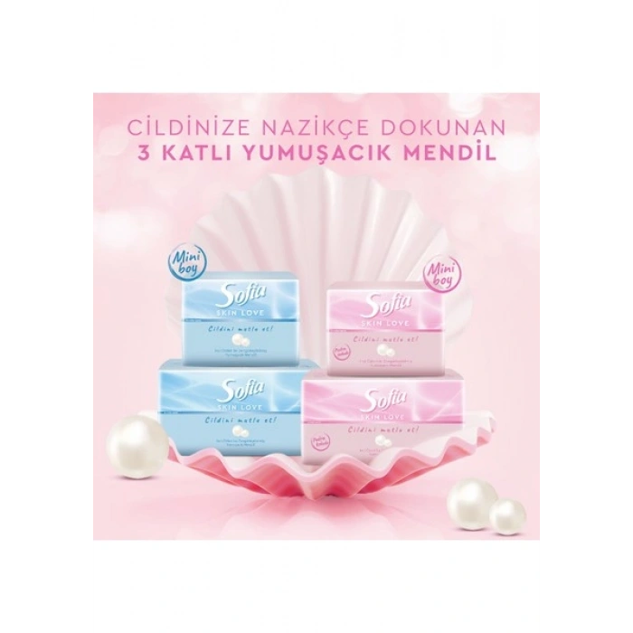 Sofia skin Love Mendil 100LÜ x 12 Paket