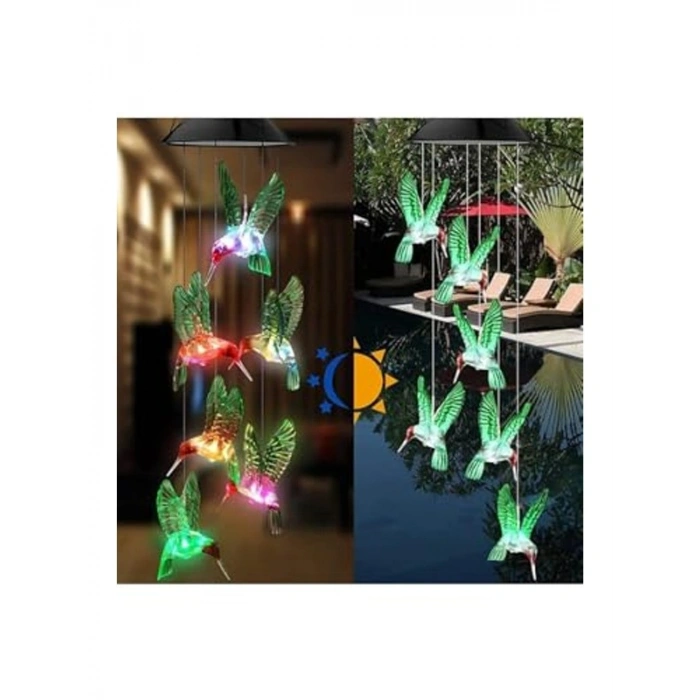 Solar LED ışıklı bahçe dekoru, renkli ışıklarla süsleyin
