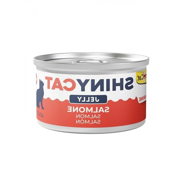 Somon Balığı Aromalı Kedi Maması 70 gram, Jöleli Formda