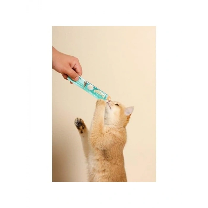 Somon Balıklı Kedi Ödülü, 4x15 gr Paket