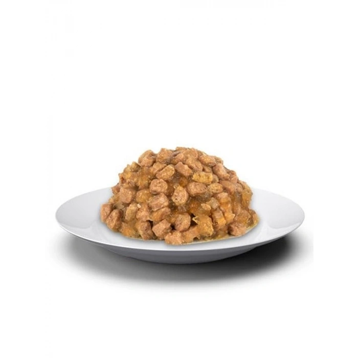 Somon Balıklı Tahılsız Kedi Yaş Mamaları 12 x 85 Gram Paket