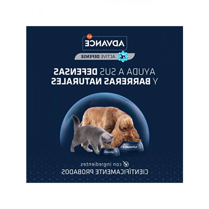 Somon Balıklı Yetişkin Kuru Kedi Maması, 3 Kg