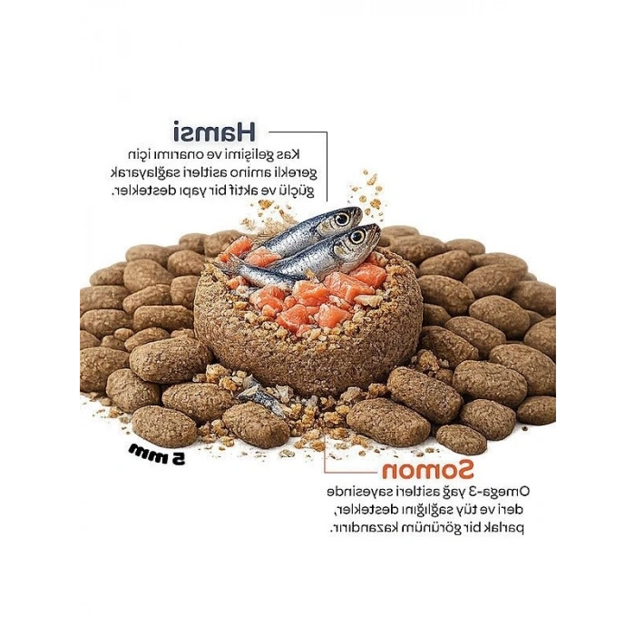 Somon ve Hamsi Aromalı Yetişkin Kedi Yemi, 2 kg