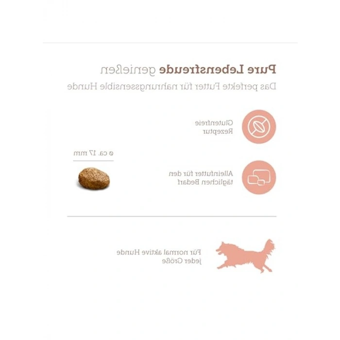Somon ve Pirinçli Yetişkin Köpek Maması, 12.5 Kg