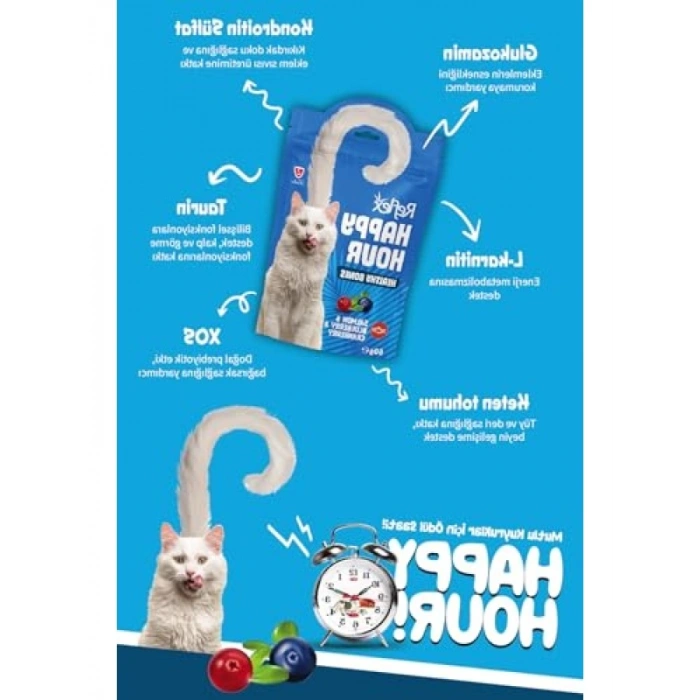 Somon ve Yaban Mersinli Kedi Ödül Maması - 60 gr