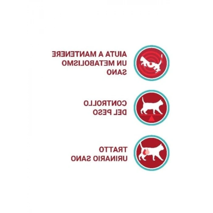 Somonlu Kedi Maması, 800 Gr