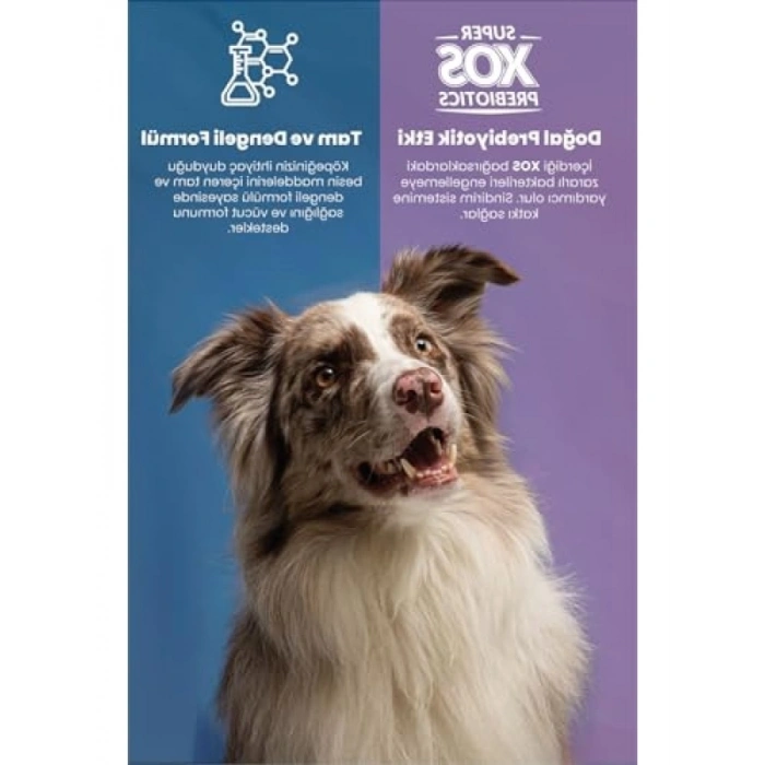 Somonlu Köpek Maması 8 kg