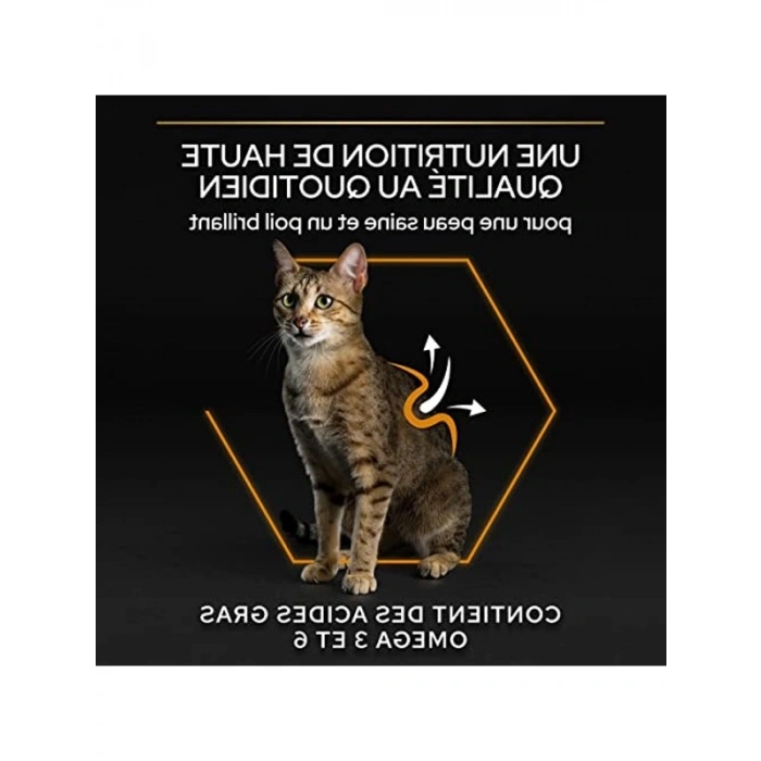Somonlu Kuru Kedi Maması, 1.5 kg Besleyici Seçenek