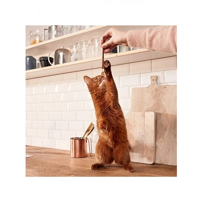 Somonlu Ödül Çubuğu 10 x 5 Gr