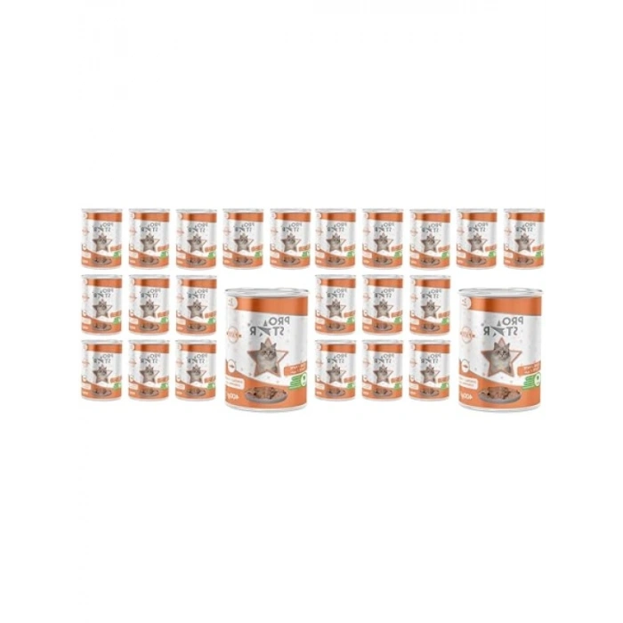 Somonlu Pate Yaş Mama - 400 Gr x 12 Adet (2 Paket)