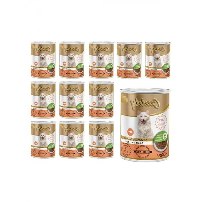 Somonlu ve jöleli konserve mama, 400 gr x 12 adet, lezzetli öğün