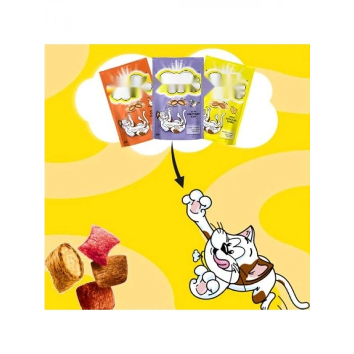 Somonlu ve Peynirli Kuru Kedi Ödül Maması, 60 G