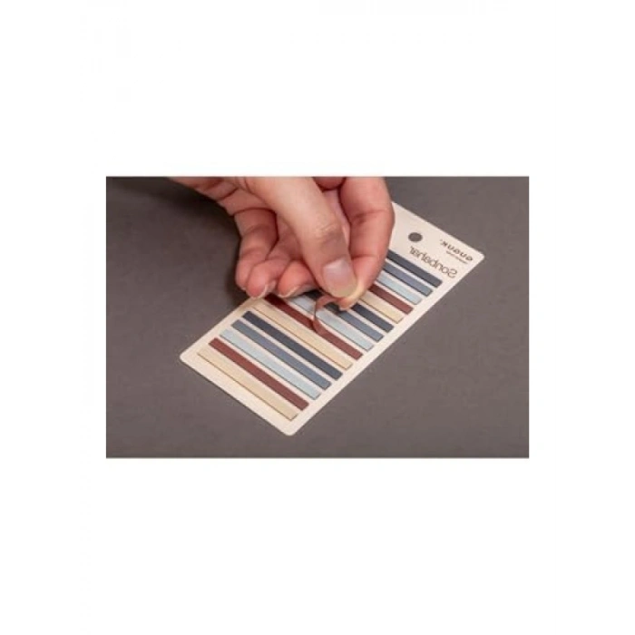 Sonbahar Temalı 15 Renkli Şeffaf Yapışkan Not Seti