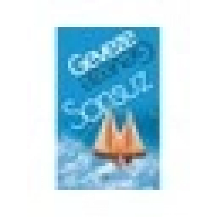 Sonsuz-Geveze
