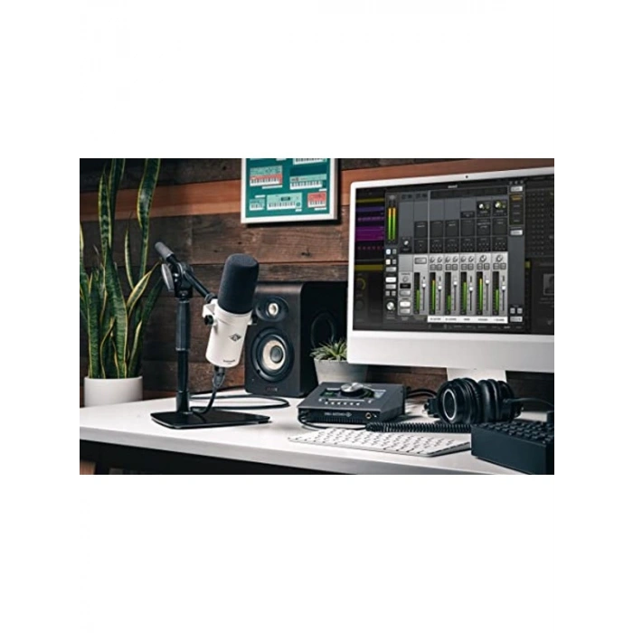 Standart Dinamik Mikrofon, Ses Kaydı ve Performans için