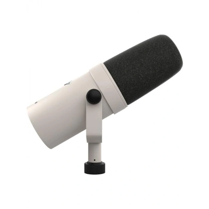 Standart Dinamik Mikrofon, Ses Kaydı ve Performans için