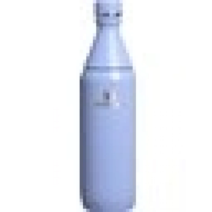 Stanley The All Day Slim Soğuk Su Şişesi Termosu 0,60 Lt Lila