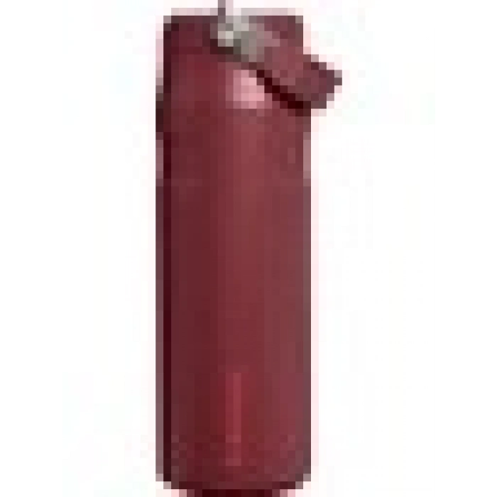 Stanley The Iceflow Bottle Flip Straw 2.0 0.70 Lt Pipetli Termos