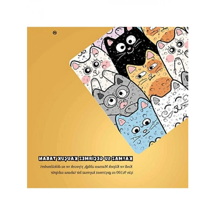 Su Geçirmez Evcil Hayvan Beslenme Matı (50x35 cm, Renkli)