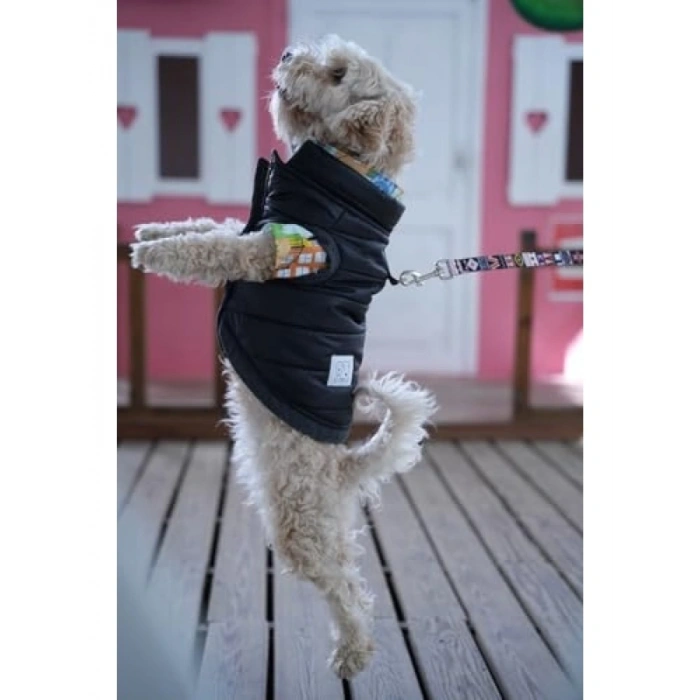 Su Geçirmez Kapitone Köpek Montu - Siyah (Medium)