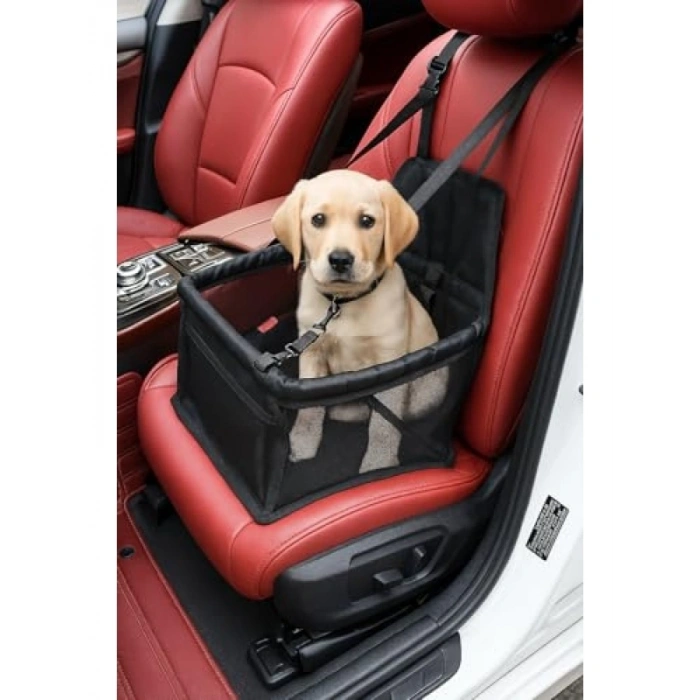 Su Geçirmez ve Katlanabilir Evcil Hayvan Taşıma Çantası