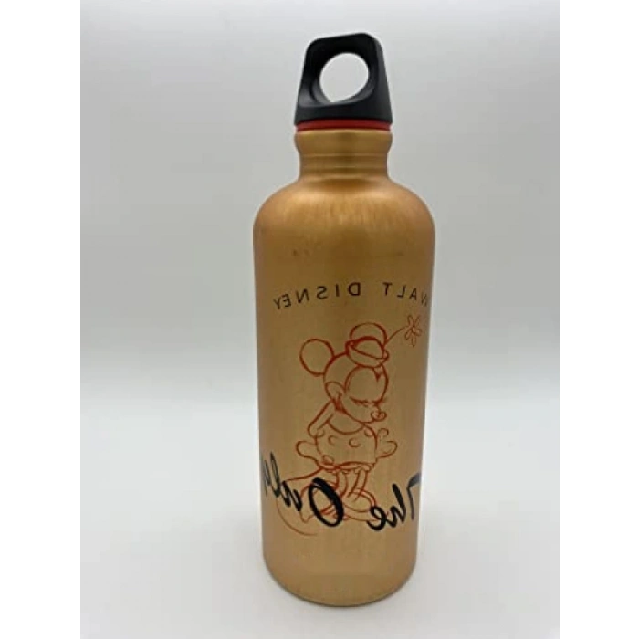 Su Geçirmez Vidalı Kapaklı Alüminyum Matara (0.6 L)