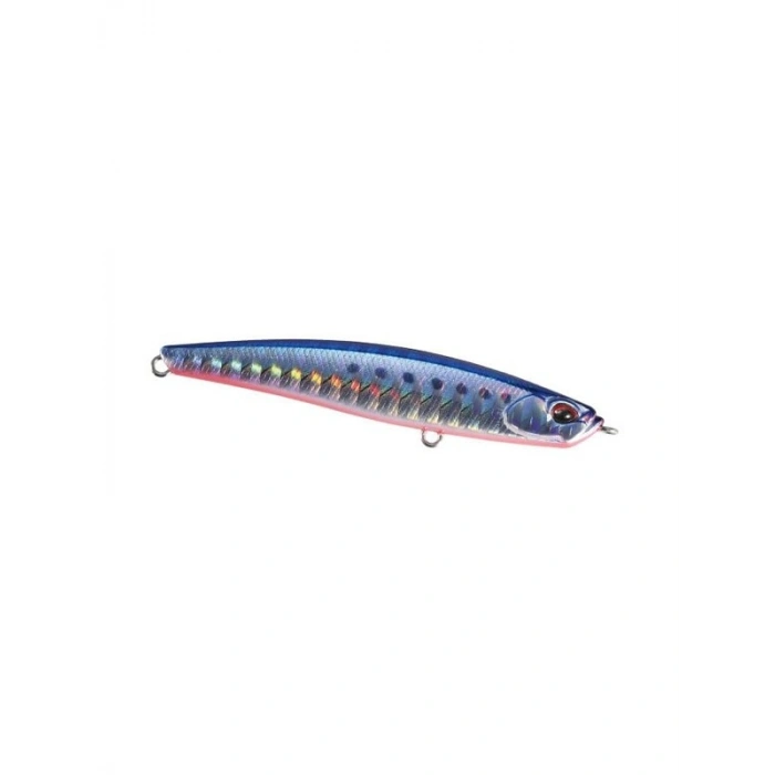 Suni Yem, Mazume Sardine, Jig Başlığı ile Balık Avı İçin