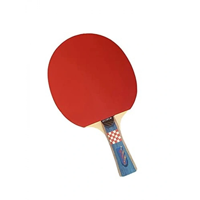Superior 4 Yıldız Masa Tenisi Raketi DS843