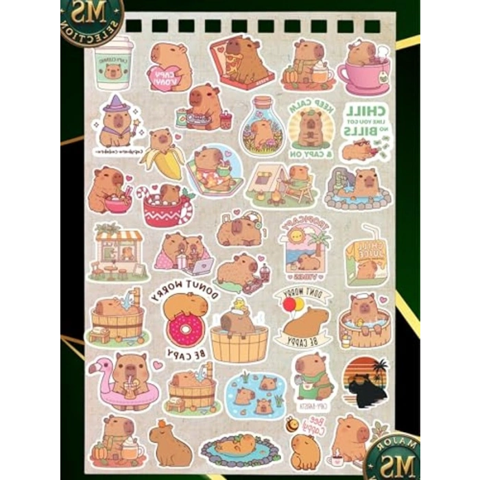 Suya Dayanıklı Capybara Sticker Seti, 35’li, A5 Boyut