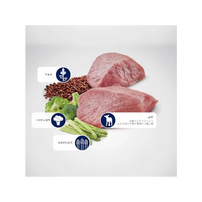 Tahılsız ve Dengeli Yetişkin Mini Kedi Maması