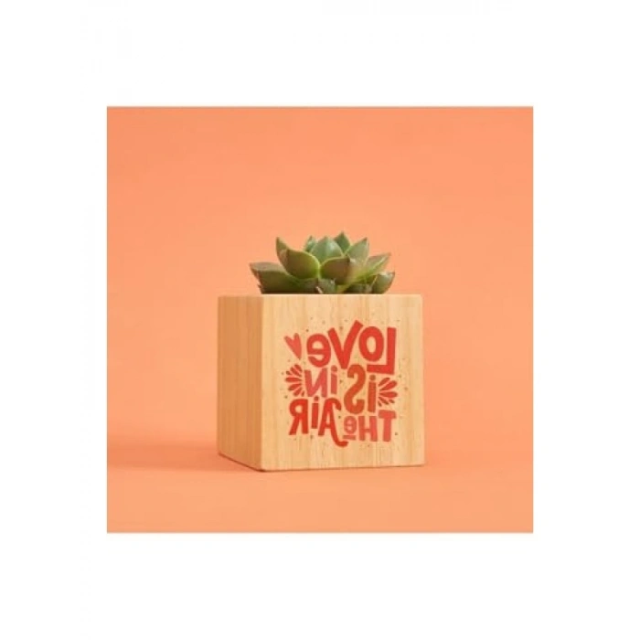 Tasarımlı Aşk Hediye Kutusu, Kupa Seti